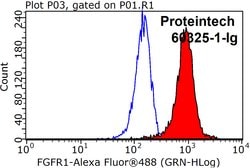 FGFR1 Mouse anti-Human, Mouse, Clone: 10F12E7, Proteintech:Antibodies:Primary