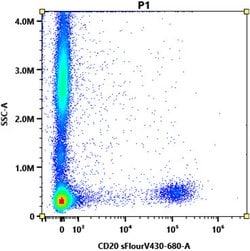 CD20 Monoclonal Antibody (13.6E12), Abbomax 100 &mu;g; Unconjugated:Antibodies,