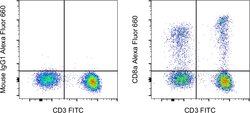 CD8a Monoclonal Antibody (RPA-T8), Alexa Fluor 660, eBioscience , Invitrogen:Antibodies:Primary
