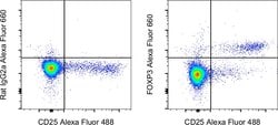 FOXP3 Monoclonal Antibody (FJK-16s), Alexa Fluor 660, eBioscience , Invitrogen:Antibodies,