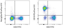 Invitrogen CD19 Monoclonal Antibody (eBio1D3 (1D3)), PE-eFluor 610, eBioscience:Antibodies:Primary