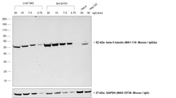 Invitrogen&trade;&nbsp;Rabbit anti-Mouse IgG2a Secondary Antibody, HRP