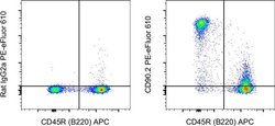 CD90.2 (Thy-1.2) Monoclonal Antibody (53-2.1), PE-eFluor&trade; 610, eBioscience&trade;, Invitrogen&trade;