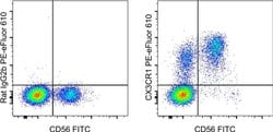 Invitrogen CX3CR1 Monoclonal Antibody (2A9-1), PE-eFluor 610, eBioscience:Antibodies:Primary