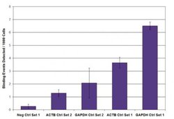 Phospho-RNA pol II CTD (Ser5) Monoclonal Antibody (3E8), Active Motif 10 &mu;g | Buy Online | Active Motif | Fisher Scientific