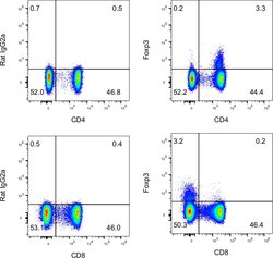 FOXP3 Monoclonal Antibody (PCH101), PE-eFluor 610, eBioscience , Invitrogen:Antibodies:Primary
