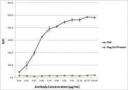 TNF Monoclonal Antibody, Active Motif:Antibodies:Primary Antibodies
