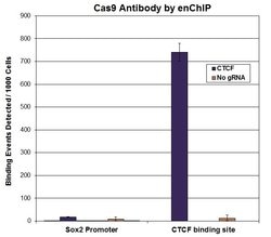 Active Motif Cas9 Monoclonal Antibody (8C1-F10), Active Motif 100 &mu;g;