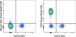 CD2 Monoclonal Antibody (RPA-2.10), Super Bright 436, eBioscience , Invitrogen:Antibodies:Primary