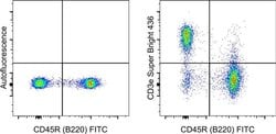 Invitrogen CD3e Monoclonal Antibody (eBio500A2 (500A2)), Super Bright 436,