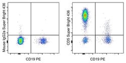 Invitrogen CD5 Monoclonal Antibody (L17F12), Super Bright 436, eBioscience , Invitrogen 25 Tests | Buy Online | Invitrogen&trade; | Fisher Scientific