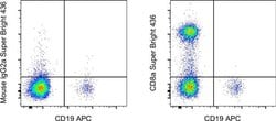 Invitrogen CD8a Monoclonal Antibody (OKT8 (OKT-8)), Super Bright 436, eBioscience:Antibodies:Primary