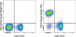 CD19 Monoclonal Antibody (eBio1D3 (1D3)), Super Bright 436, eBioscience
