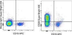 CD28 Monoclonal Antibody (CD28.2), Super Bright 436, eBioscience , Invitrogen:Antibodies:Primary