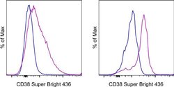 Invitrogen CD38 Monoclonal Antibody (HIT2), Super Bright 436, eBioscience
