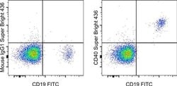 Invitrogen CD40 Monoclonal Antibody (5C3), Super Bright 436, eBioscience