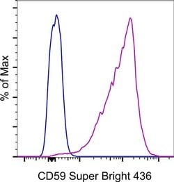 Invitrogen CD59 (Protectin) Monoclonal Antibody (OV9A2), Super Bright 436, eBioscience 100 Tests | Buy Online | Invitrogen&trade; | Fisher Scientific