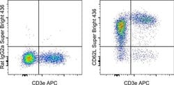 CD62L (L-Selectin) Monoclonal Antibody (MEL-14), Super Bright 436, eBioscience