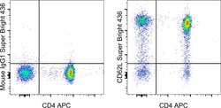 Invitrogen CD62L (L-Selectin) Monoclonal Antibody (DREG-56 (DREG56)), Super