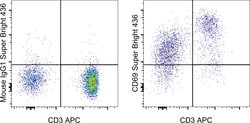 CD69 Monoclonal Antibody (FN50), Super Bright 436, eBioscience , Invitrogen:Antibodies:Primary