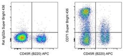 Invitrogen CD71 (Transferrin Receptor) Monoclonal Antibody (R17217 (RI7