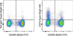 Invitrogen CD73 Monoclonal Antibody (eBioTY/11.8 (TY/11.8)), Super Bright
