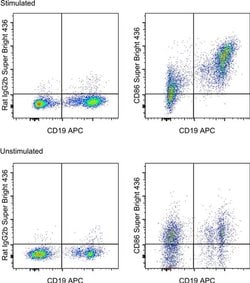 Invitrogen CD86 (B7-2) Monoclonal Antibody (GL1), Super Bright 436, eBioscience:Antibodies:Primary
