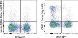 Invitrogen CD90.1 (Thy-1.1) Monoclonal Antibody (HIS51), Super Bright 436,