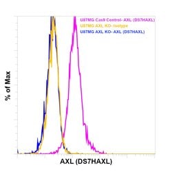 Axl Monoclonal Antibody (DS7HAXL), Super Bright 436, eBioscience , Invitrogen:Antibodies:Primary