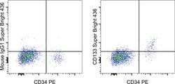 Invitrogen CD133 (Prominin-1) Monoclonal Antibody (TMP4), Super Bright