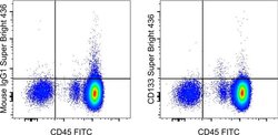 Invitrogen CD133 (Prominin-1) Monoclonal Antibody (TMP4), Super Bright