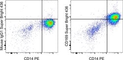 Invitrogen CD169 (Siglec-1) Monoclonal Antibody (7-239), Super Bright 436,
