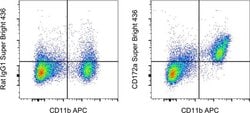 CD172a (SIRP alpha) Monoclonal Antibody (P84), Super Bright 436, eBioscience