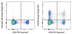Invitrogen CD183 (CXCR3) Monoclonal Antibody (CXCR3-173), Super Bright