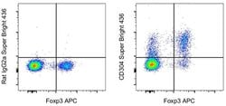 Invitrogen CD304 (Neuropilin-1) Monoclonal Antibody (3DS304M), Super Bright