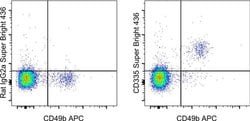 CD335 (NKp46) Monoclonal Antibody (29A1.4), Super Bright™ 436, eBioscience™, Invitrogen™