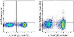 Invitrogen Armenian Hamster IgG Isotype Control (eBio299Arm), Super Bright 436, eBioscience 100 &mu;g | Buy Online | Invitrogen&trade; | Fisher Scientific