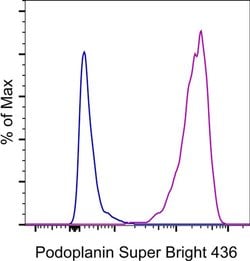 Invitrogen Podoplanin Monoclonal Antibody (eBio8.1.1(8.1.1)), Super Bright