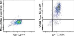 Invitrogen VSIG4 Monoclonal Antibody (JAV4), Super Bright 436, eBioscience