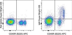 Invitrogen IgM Monoclonal Antibody (eB121-15F9), Super Bright 436, eBioscience