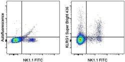 Invitrogen KLRG1 Monoclonal Antibody (2F1), Super Bright 436, eBioscience:Antibodies:Primary