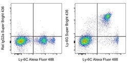 Invitrogen Ly-6G Monoclonal Antibody (1A8-Ly6g), Super Bright 436, eBioscience