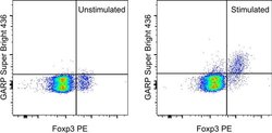 GARP Monoclonal Antibody (YGIC86), Super Bright 436, eBioscience , Invitrogen:Antibodies:Primary