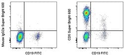 Invitrogen CD5 Monoclonal Antibody (L17F12), Super Bright 600, eBioscience