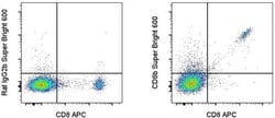 Invitrogen CD8b Monoclonal Antibody (eBioH35-17.2 (H35-17.2)), Super Bright