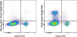 CD8a Monoclonal Antibody (OX8), Super Bright 600, eBioscience , Invitrogen:Antibodies:Primary