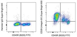 Invitrogen CD29 (Integrin beta 1) Monoclonal Antibody (eBioHMb1-1 (HMb1-1)), Super Bright 600, eBioscience , Invitrogen 100 &mu;g | Buy Online | Invitrogen&trade; | Fisher Scientific