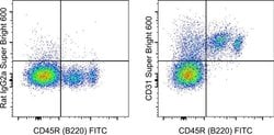 Invitrogen CD31 (PECAM-1) Monoclonal Antibody (390), Super Bright 600,