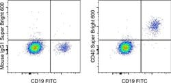 Invitrogen CD40 Monoclonal Antibody (5C3), Super Bright 600, eBioscience:Antibodies:Primary