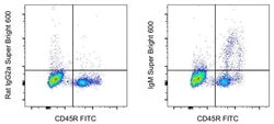 IgM Monoclonal Antibody (eB121-15F9), Super Bright™ 600, eBioscience™, Invitrogen™